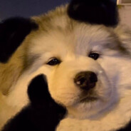 她说戴了不算给