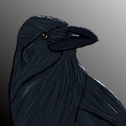 鳥類は、鳥綱を構成す