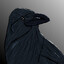 Raven Creature