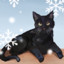 yuki_snowcat