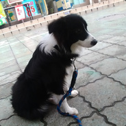 F_____________（36yeas old）