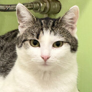 ВСЕ ТАК НЕ БУДЕ!