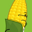 Steve Cobs