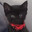 babykittenx