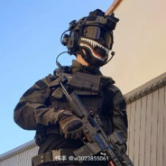 大哥累了，来打会csgo