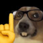 vpr