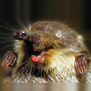 Выхухоль - steam id 76561198836302889