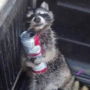 RaccinRaccon