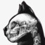 Matthaeus von Katze