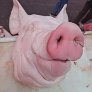 睡觉依旧打呼噜