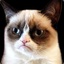 grumpy_cat