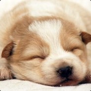 我不动 别杀我@5726