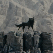 yisuxwolf