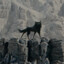 yisuxwolf