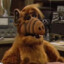 Alf