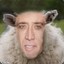 Sheepolas Cage