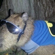 Nektarios Pipinoroufixtras