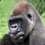 DangerousApe