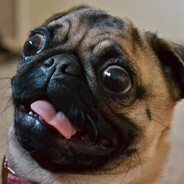 PogInDog
