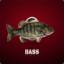 BassOp.bandit.camp