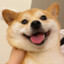 苏苏宝宝