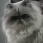 CL.Knox's Steam Avatar