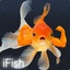 imafckingfish