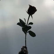 ADD : zexy69