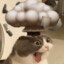 DikinBaus
