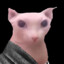 Bingus