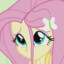 Fluttershy