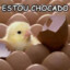 Chocado