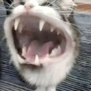 古希腊掌管P90的神