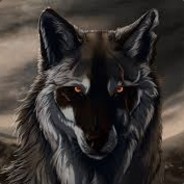 TheBlackWolf