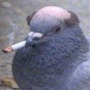 I NEED PUSSY PICS