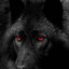 BlackWolf