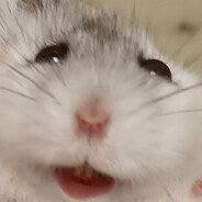 ХоМ94оК_Х3 - steam id 76561198746995832