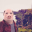 Jorn Prok