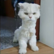 我是牛牛精灵扣1牛牛变