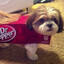 Dr.Pupper