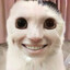 Σ𝘉𝘰𝘺