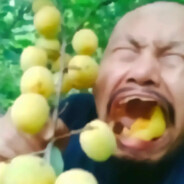 爱吃番薯大地瓜