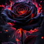 BlackRose