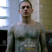 柯基是条流浪狗