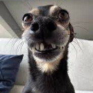 KaLy's avatar