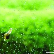 陪伴是最长情的告白