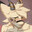 TapfererToaster avatar