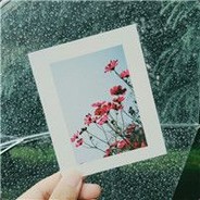 YY1233