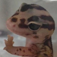 金鳞岂非池中物