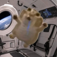 Goobert